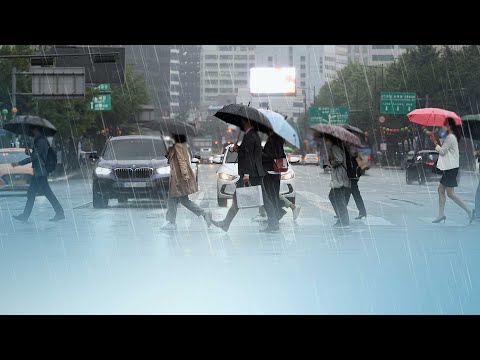 주 후반부터 본격 장마철 돌입…시작부터 장대비 전망 / 연합뉴스TV (YonhapnewsTV)