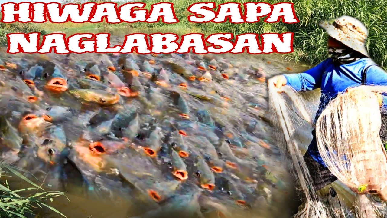 Lumabas ang hiwaga tagong sapa