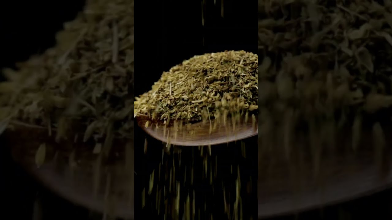 Fresh Oregano #shorts #hydroponic #trendingshorts #trending #recipes #organicfarming #oreganorecipe