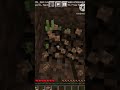 Minecraft But I Speedrun A Random Block.