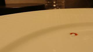 Marquis reagent test on specimen presumably Methamphetamine Harm reduction always test Know your