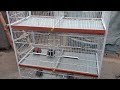 cage 6p 3x1.5x15 with powder coating angle cage #birds #cages #birdcages #lovebird #parrot #aseel