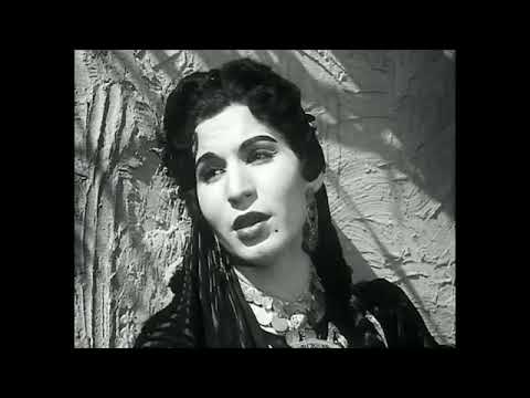 أنااحبه واراعي ود ه هان الود فايزه احمد