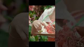 Orai Som Bodo Music Video Highlights With Helina Daimary, Nakul Baro, And Hamfu