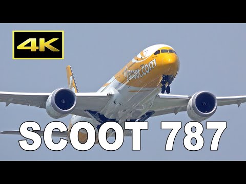 4K] Scoot Boeing 787-9 / Plane Spotting at Tokyo Narita Airport