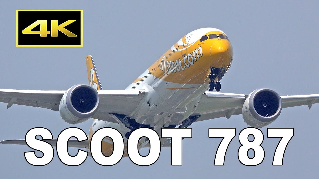 [4K] Scoot Boeing 7879 / Plane Spotting at Tokyo Narita Airport / 成田空港