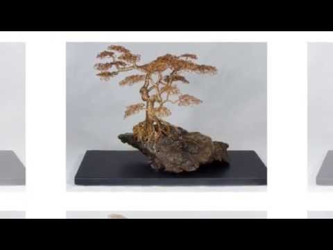 Bonsai Tree Sculpture - Asheville Artist Jim Beghtol