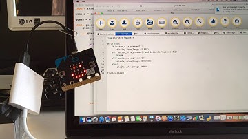 5 MicroBit Virtual Pet