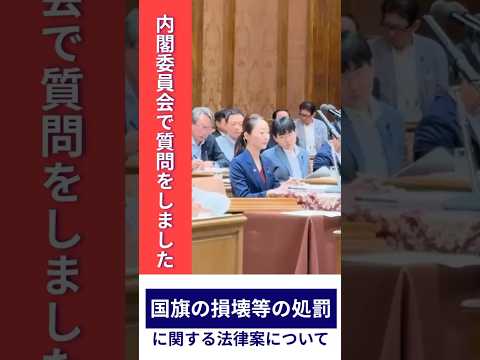 【国会質問】内閣委員会「国旗の損壊等の処罰に関する法律案」