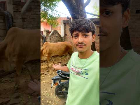 Aaj Ki Rat Sabse Bekar😢 #minivlog #vlog