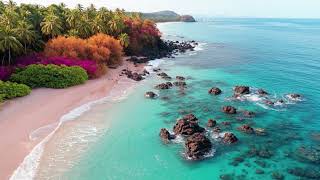 Tropical Pink Sand Beach Aerial 4K No Copyright