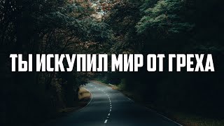 ТЫ ИСКУПИЛ МИР ОТ ГРЕХА | караоке | Lyrics