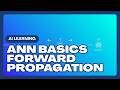 Artificial Neural Network Basics | Forward Propagation Tutorial