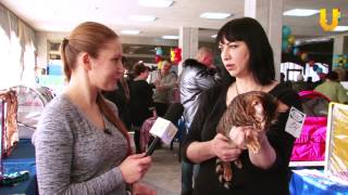 Глазами животных, выпуск 63. Выставка кошек "Фавориты зимы", кошки от "Потеряшек". Глазами животных, выпуск 63. Выставка кошек "Фавориты зимы", кошки от "Потеряшек".