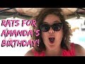Best Birthday Ever! | Siem Reap, Cambodia Travel Vlog