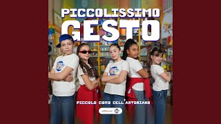 Piccolissimo gesto