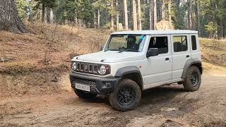 Deep into the woods... in Jimny