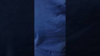 Thanks Ava Fabian For More Pictures.