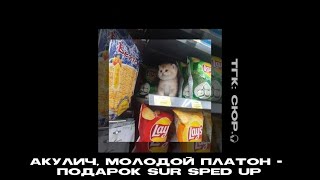 акулич, молодой платон - подарок (sur sped up)