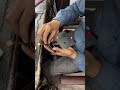 Realme 3 display change #shorts #ytshorts #youtubeshorts