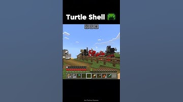 Turtle Shell Power ☠️