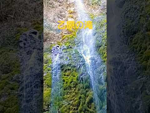 【乙原の滝】#shorts #切り抜き #asmr #nature #waterfall #healing #japanese #自然音