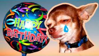 Dog Trapped In Balloon