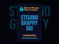 Hide Secret Messages in Images with Python GUI 🖼️ | FuzzuTech Steganography Tool