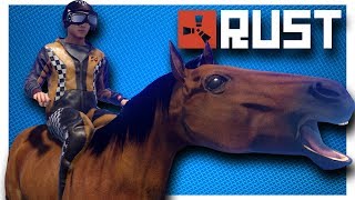 RACING HORSES in RUST screenshot 2