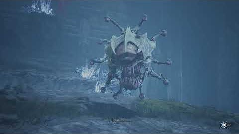 Dark Alliance World Fastest Beholder Kill