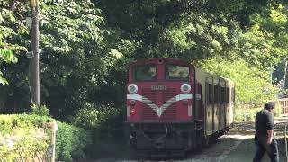 (4K) 3次 阿里山號 (十字路端)SPC55+SPC41+SPC36+SPC52+SPC47+DL50柴油機車(嘉義端)通過阿里山森林鐵路車庫園區