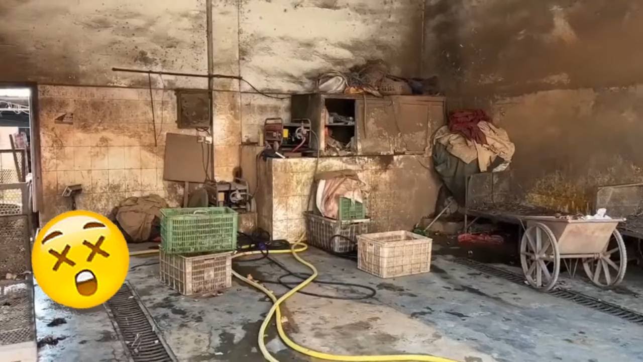 😣A Big Project! Help The Boss Clean Up The Workshop!