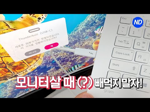 썬더볼트가 있는 모니터를 사야해요! 드디어 국내 출시 LG 울트라와이드 모니터 LG 38WN95C 리뷰