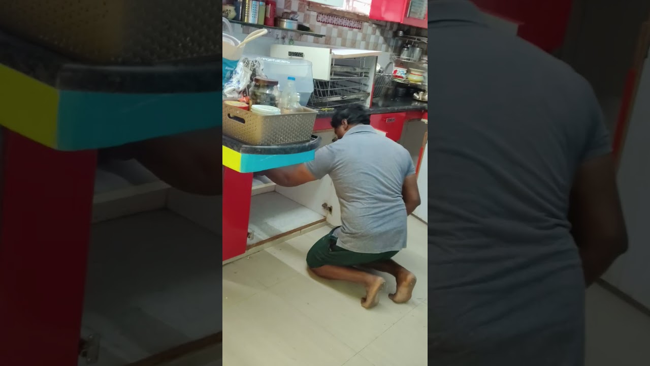 termite treatment post construction damage furniture and water roof modular kitchen