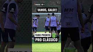 O GALO ESTÁ PRONTO PARA A DECISÃO