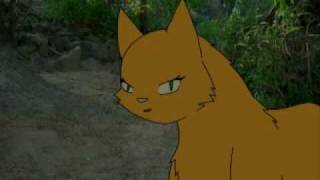 Quick Squirrelpaw Animation Test