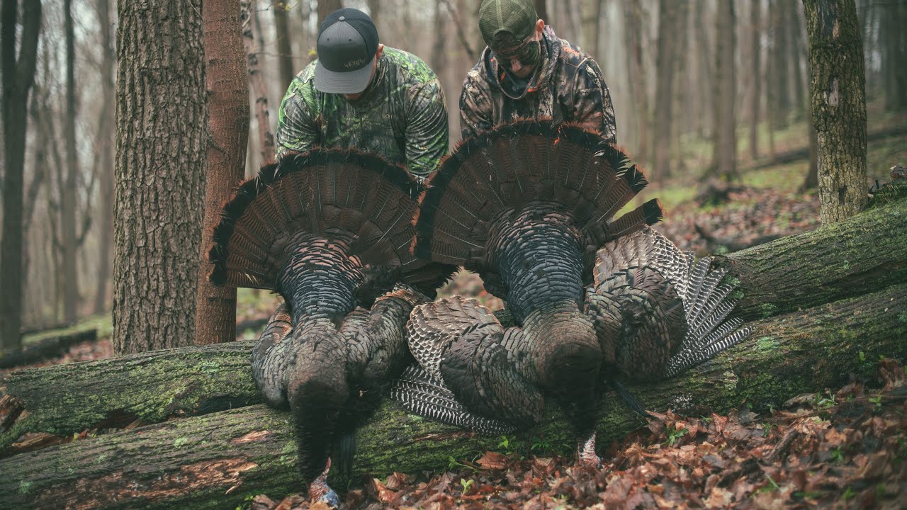 2018 Ohio Turkey Hunt * DOUBLE * YouTube