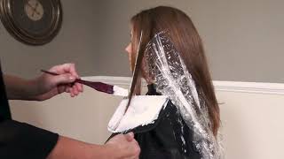 Balayage Technique - Balayage Pieces and Sectioning - with Susie Powers