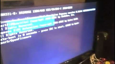 PEG1 WITH MORPHOS 2.4