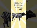 【雑学】牛さん、虫対策でストライプ #shorts
