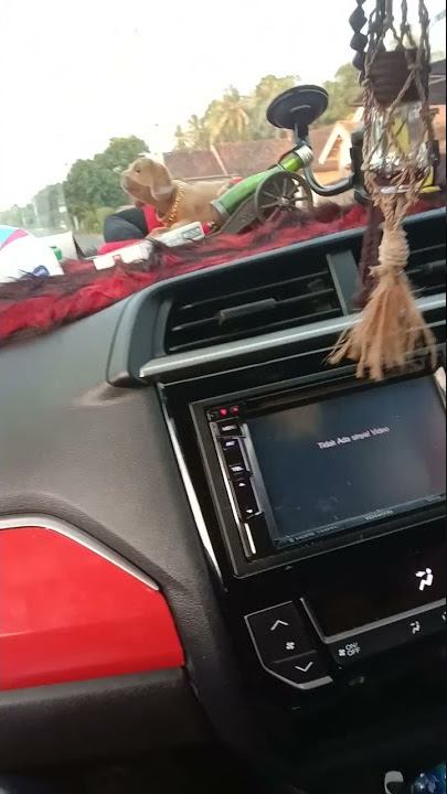 story viral ..naik mobil mentahan