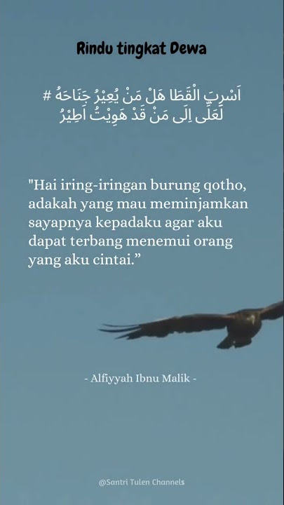 syair cinta Alfiyyah Ibnu Malik ||quotes santri part 18