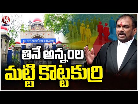 Telangana High Court Senior Advocate Warns petitioners Over 42% BC Reservations | V6 News - V6NEWSTELUGU