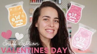 Valentines Collection | Sniff Session