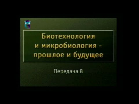 Передача 8. Отдел базидиомицеты