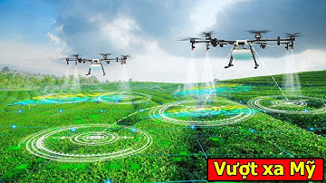 Nông Nghiệp Nhật Bản Hiện Đại Đến Mức Nào?