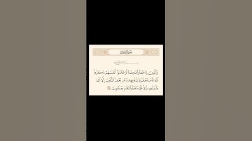 تلاوة خاشعة من سورة آل عمران
