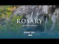 Rosary from Lourdes - 25/05/2026