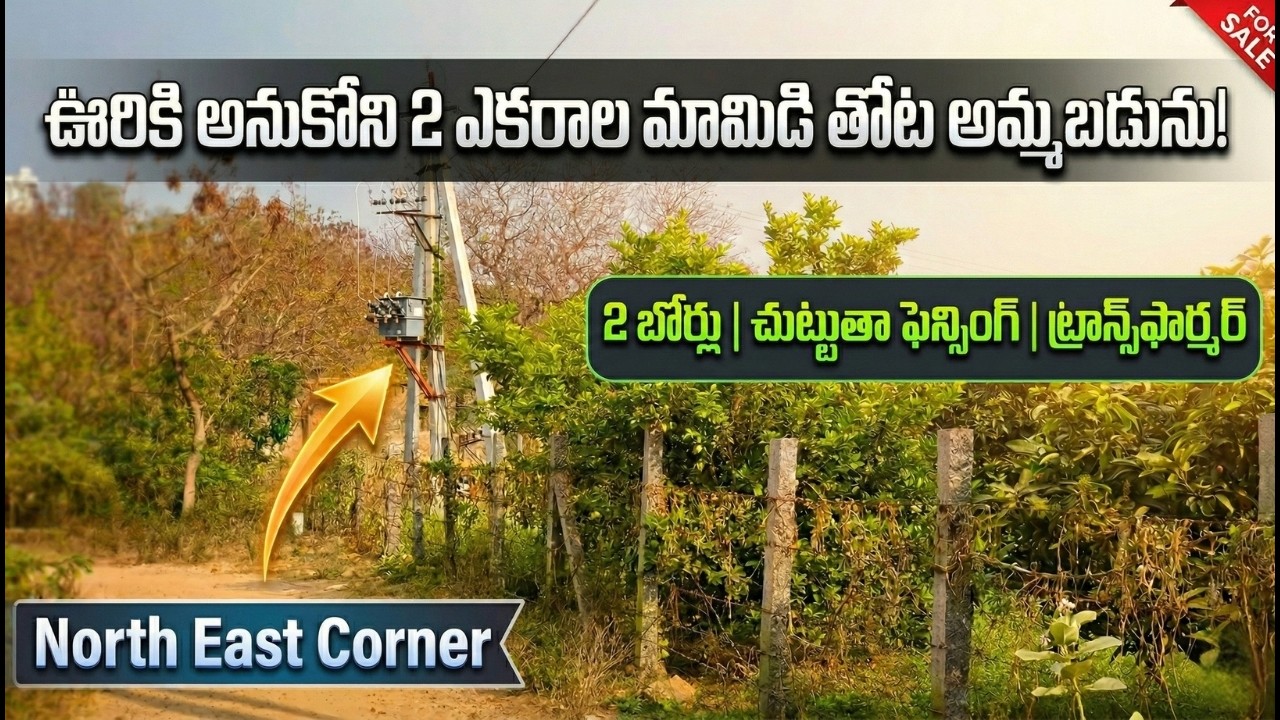 🔥 2 ఎకరాల మామిడి తోట | బోర్లు + ట్రాన్స్‌ఫార్మర్ | సూపర్ ఆఫర్ |EstateGuruAman