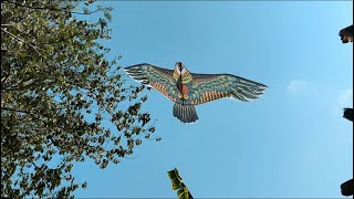 Tabanog Part 6 Agila Nga Tabanog